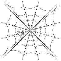 spider web pano 005